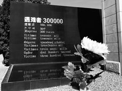 -侵华日军南京大屠杀遇难同胞纪念馆