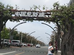 -小李子油焖大虾(天下城旗舰店)
