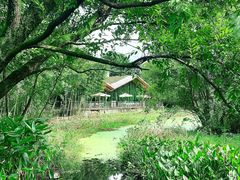 -西湖风景区-江洋畈生态公园