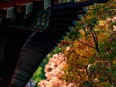 -香山公园