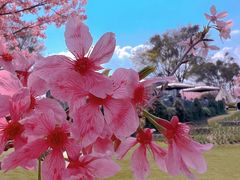 -福建鲤鱼洲酒店