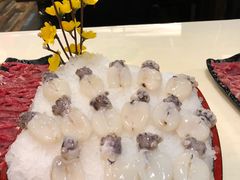 -洞仙锅(花园街店)