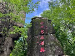 -汤旺河林海奇石景区