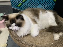 -零纪元VR体验馆·桌游(黄浦店)