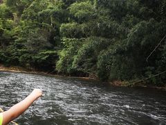 -九曲溪竹筏码头