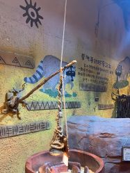 点击看大图 -奇幻萌宠部落(映月湖环宇城店)