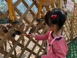 -萌宠亲子动物乐园(槐房万达店)