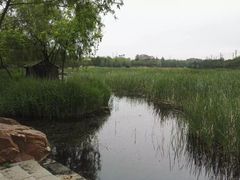 -前关湿地公园