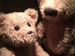 -济州岛泰迪熊博物馆