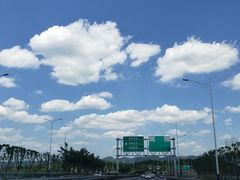 -双福水果批发市场