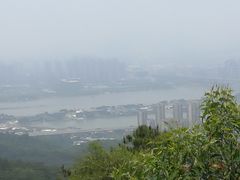 -旗山国家森林公园