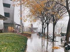 -Jamaicablue Coffeeshop(中央广场店)