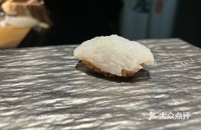 Shield Mud Squid