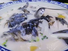 -全乐鱼馆·淳牌有机鱼直营店