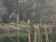 -井之头恩赐公园