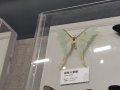 -四川大学博物馆