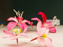 -四川大学博物馆