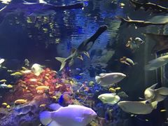 -成都浩海立方海洋公园