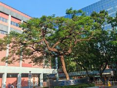 -香港科学馆