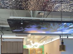 -探窝·竹笙椰子鸡(杨箕店)