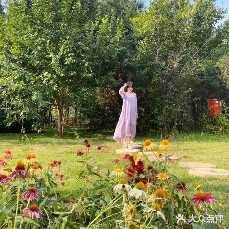 享筑林栖帐篷露营地