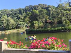 -广州市帽峰山景区