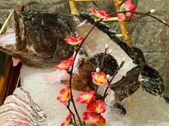 -熹悟海鲜火锅·广式打边炉