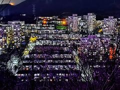 -红光山
