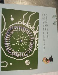 -邦叔叔.亲子全家福毕业照跟拍摄影(嘉定店)