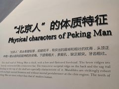 -北京周口店北京人遗址博物馆