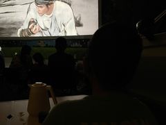 -枫花园汽车电影院(朝阳公园店)
