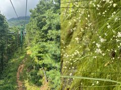 -苍山感通索道