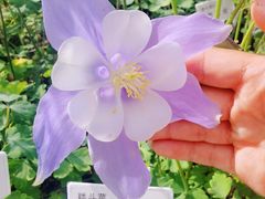 -杭州植物园