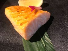 -鲤·鮨KOISUSHI