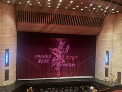 -中央芭蕾舞团·中芭艺蕾(酒仙桥明星校区)