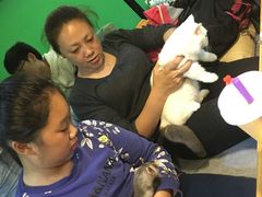 -李小姐の猫咖啡馆(五角场店)