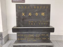 -天寿寺塔院