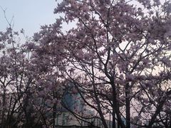 -北京化工大学(东校区)