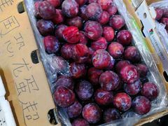 -江杨农产品批发市场