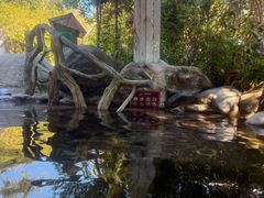 -天芳悦潭度假村温泉