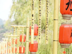 -新安江山水画廊风景区