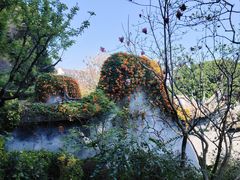 -乌山风景区