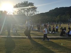 -牛岗山公园
