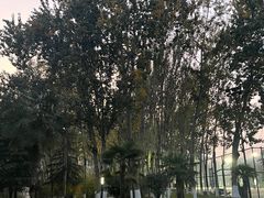 -城市运动公园(未央区)