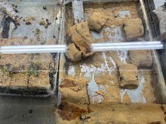 -清真·白记年糕(牛街北口店)