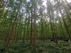 -上海怡沁园度假酒店