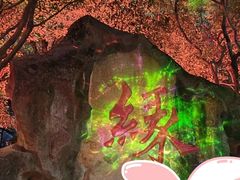 -杭州黄龙洞