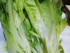 生菜-关姐美食(江南西店)