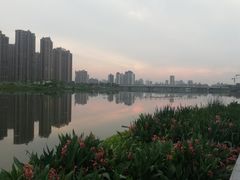 -大小河街