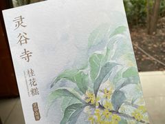 -灵谷景区